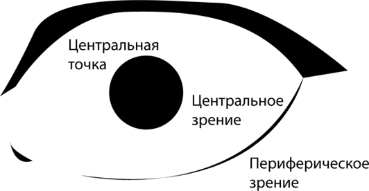 Что такое точка зрения человека. Центральное зрение. Центральное и периферийное зрение. Центральное форменное зрение. Острота центрального и периферического зрения.